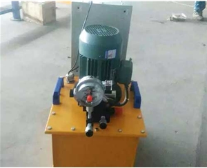 沈阳标准电动泵供应生产